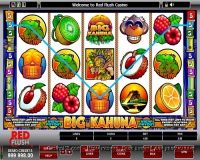 Игровой автомат Big Kahuna