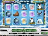 Игровой автомат Icy Wonders